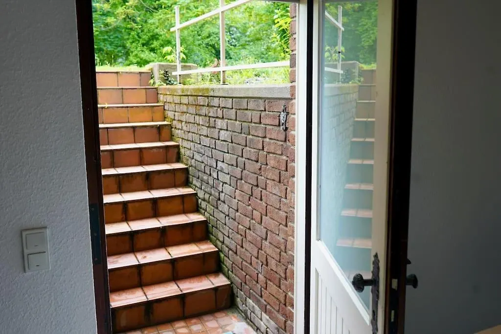 Helle Kellerwohnung Im Gruenen Mit Sauna كولونيا شقة